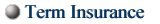 Term Insurance